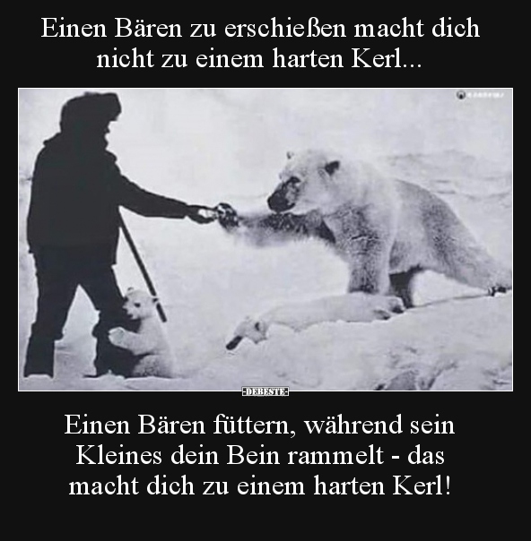 Einen Bären zu erschießen macht dich nicht zu einem harten.. - Lustige Bilder | DEBESTE.de