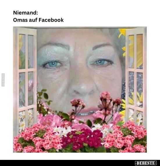 Niemand:... Omas auf Facebook.. - Lustige Bilder | DEBESTE.de