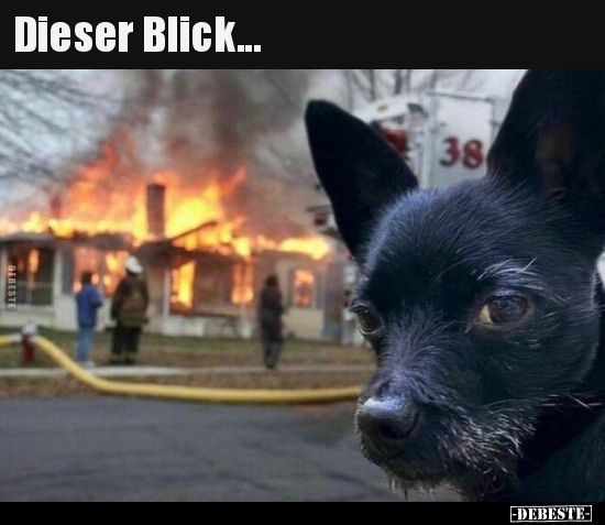 Dieser Blick... - Lustige Bilder | DEBESTE.de