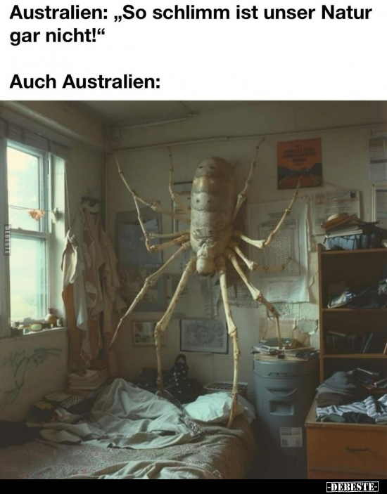 Australien: "So schlimm ist unser Natur gar nicht!".. - Lustige Bilder | DEBESTE.de
