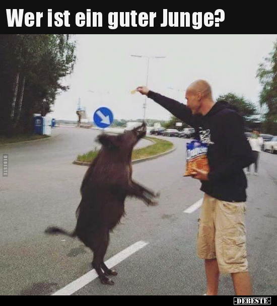 Wer ist ein guter Junge?..