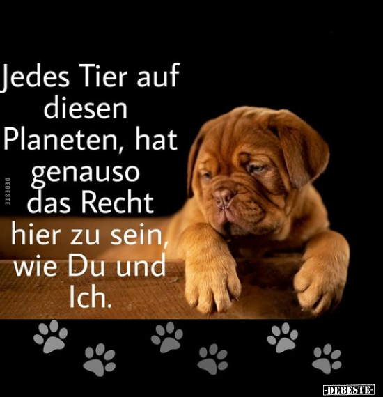 Jedes Tier auf diesen Planeten, hat genauso das Recht hier zu sein, wie Du und Ich.