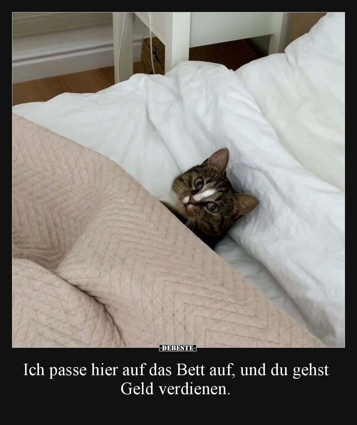 Ich passe hier auf das Bett auf, und du gehst Geld.. - Lustige Bilder | DEBESTE.de