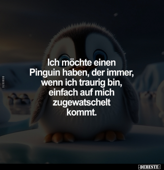 Ich möchte einen Pinguin haben.. - Lustige Bilder | DEBESTE.de