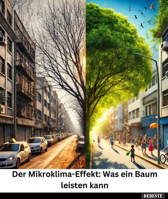 Der Mikroklima-Effekt.. - Lustige Bilder | DEBESTE.de