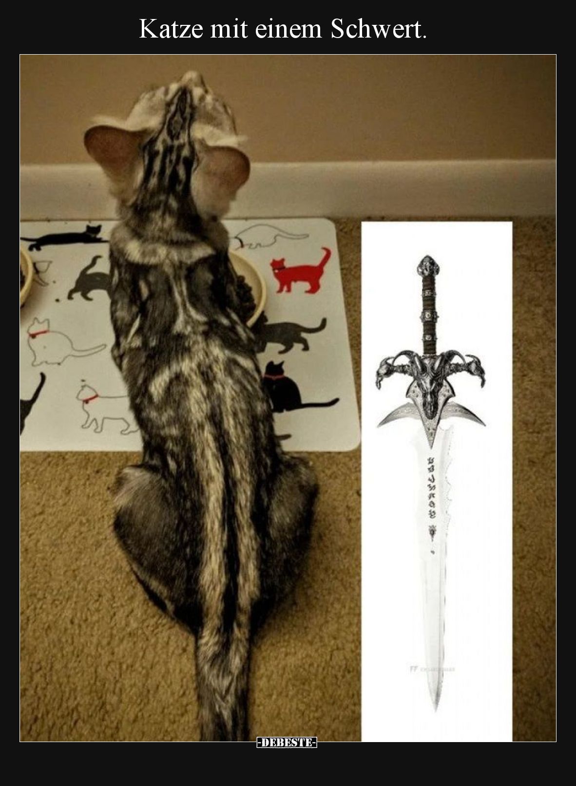 Katze mit einem Schwert