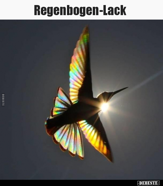 Regenbogen-Lack..