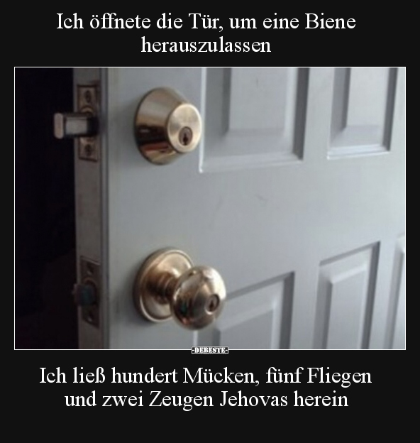 Ich öffnete die Tür, um eine Biene herauszulassen.. - Lustige Bilder | DEBESTE.de