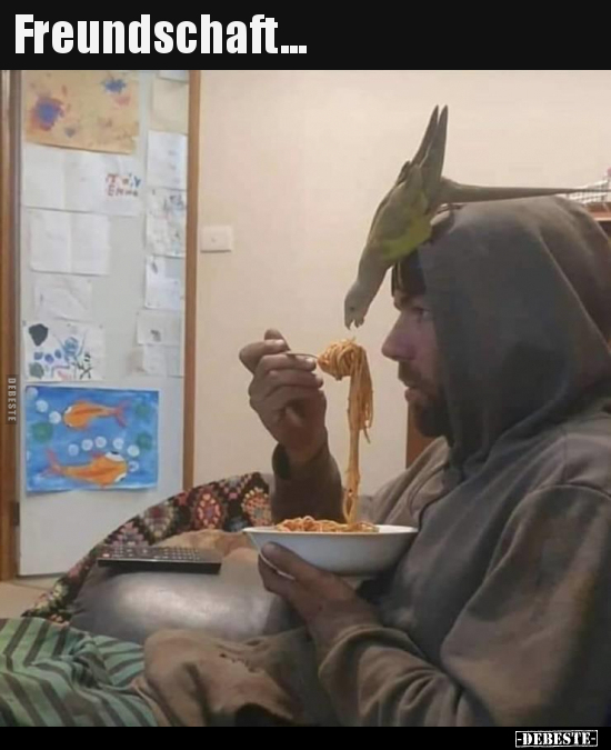 Freundschaft...