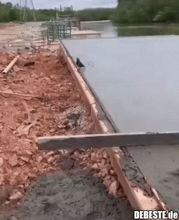 Mach nichts, filme nur..