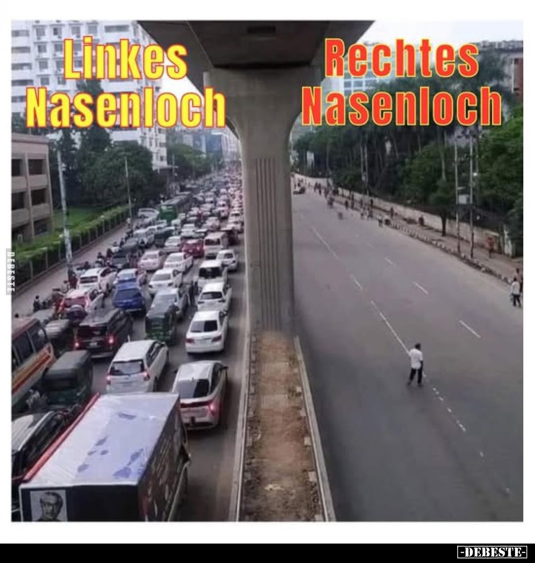 Linkes Nasenloch -
Rechtes Nasenloch.