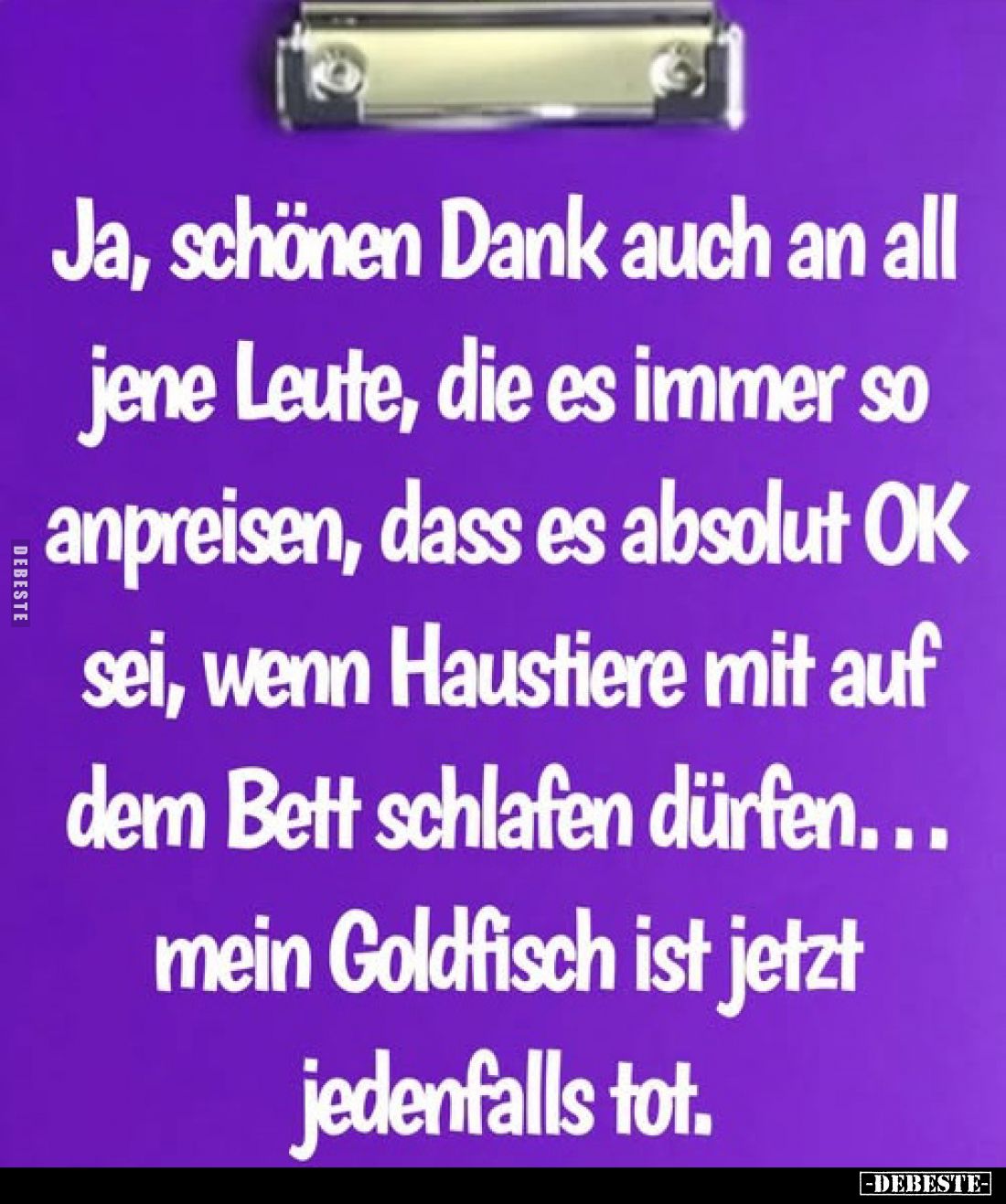 Ja, schönen Dank auch an all jene Leute, die es immer so anpreisen, dass es absolut OK sei, wenn Haustiere mit auf dem Bett s...