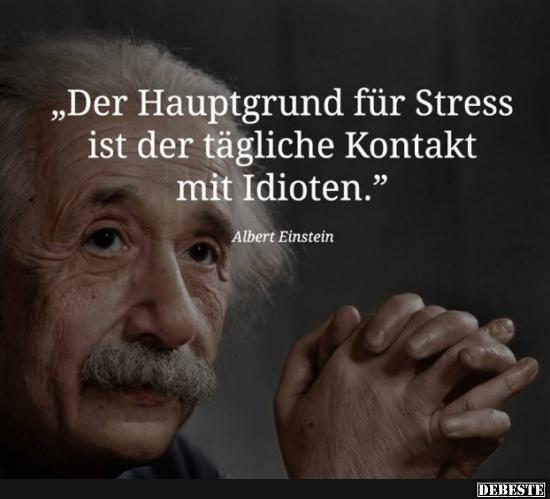 Der Hauptgrund für Stress ist.. - Lustige Bilder | DEBESTE.de