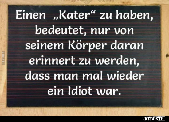 Einen "Kater" zu haben, bedeutet, nur von seinem Körper..