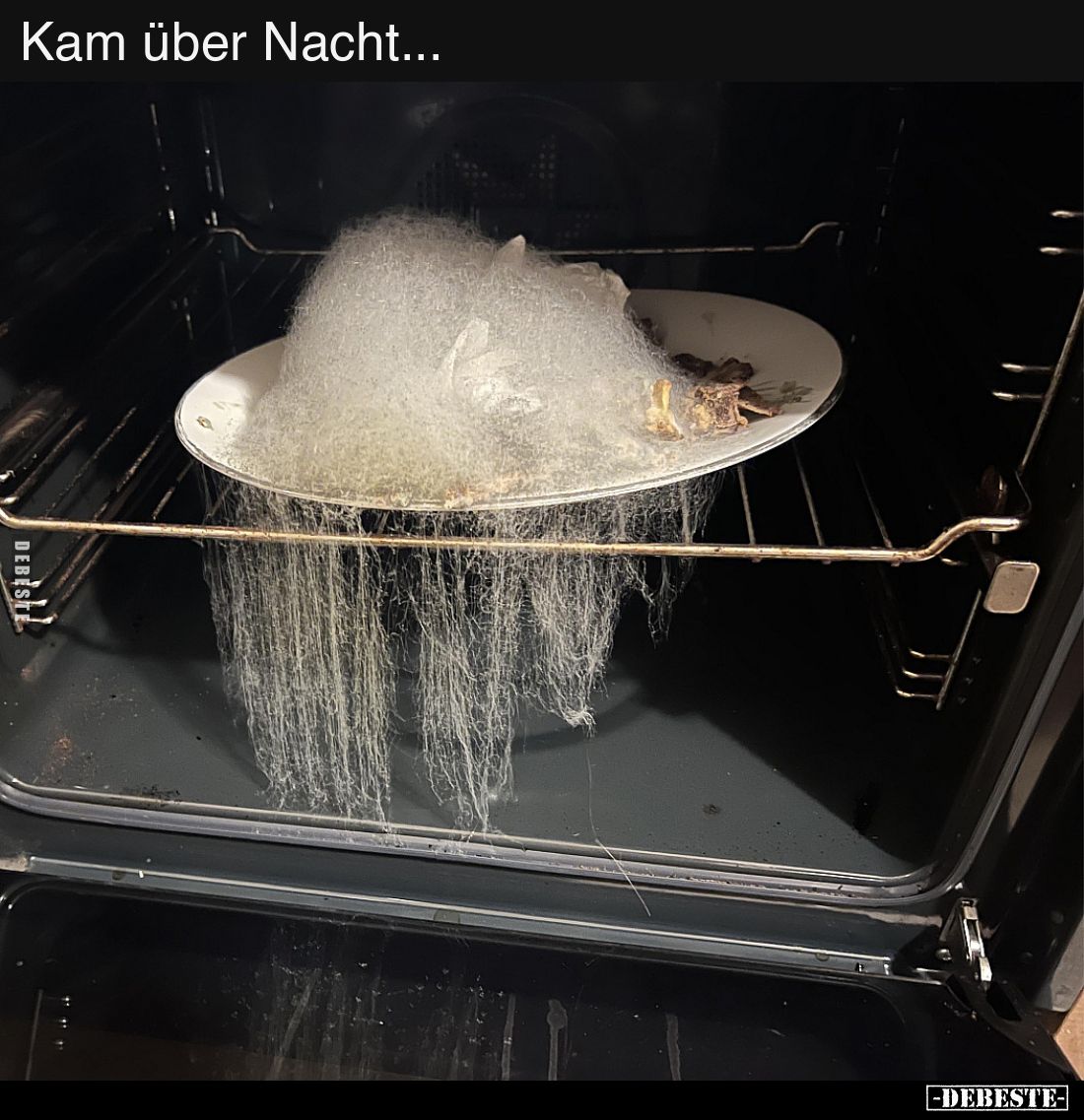Kam über Nacht...