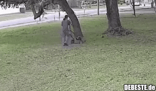 Wenn Du einfach nur in Ruhe den Rasen mähen möchtest..