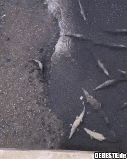 Das Handy kann er vergessen..