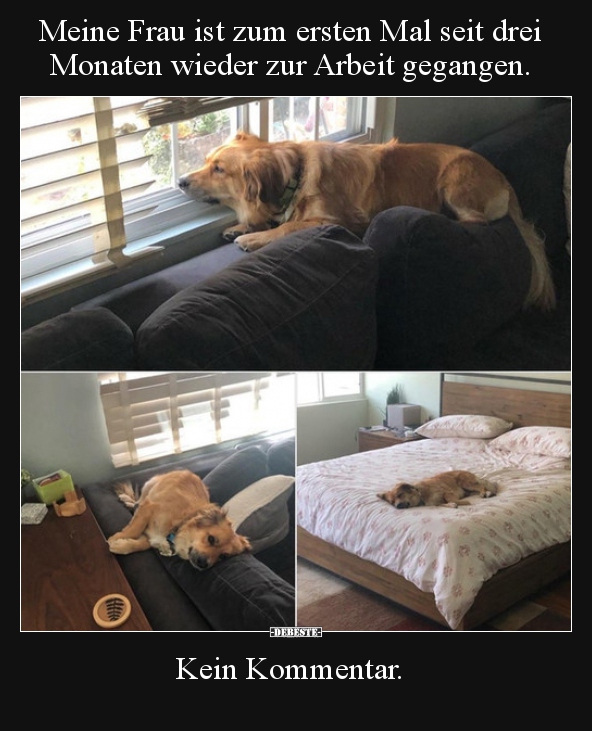 Meine Frau ist zum ersten Mal seit drei Monaten wieder zur..