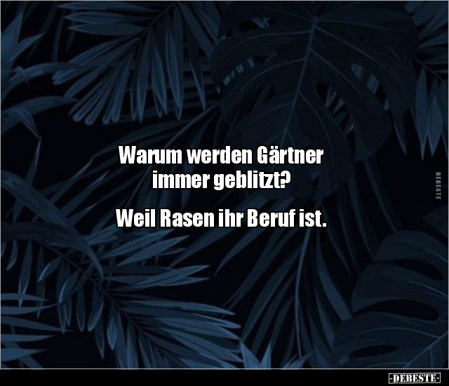 Warum werden Gärtner immer geblitzt? Weil Rasen ihr.. - Lustige Bilder | DEBESTE.de