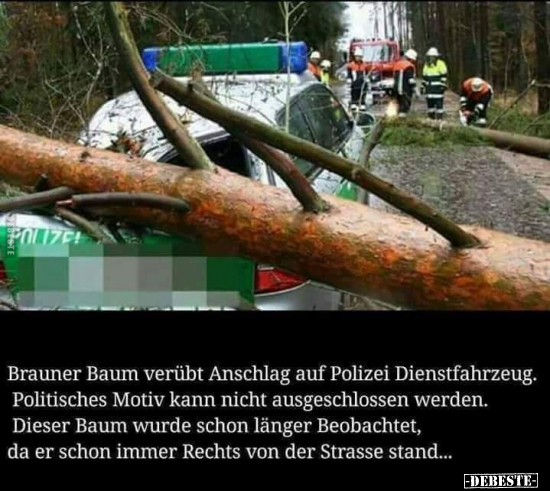 Brauner Baum verübt Anschlag auf Polizei Dienstfahrzeug... - Lustige Bilder | DEBESTE.de