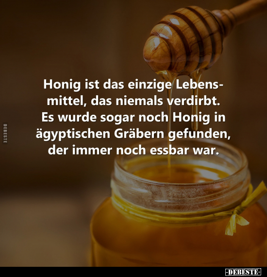 Honig ist das einzige Lebensmittel, das niemals verdirbt... - Lustige Bilder | DEBESTE.de