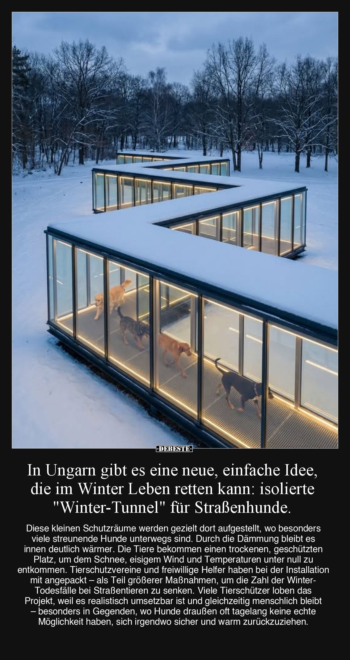 In Ungarn gibt es eine neue, einfache Idee... - Lustige Bilder | DEBESTE.de