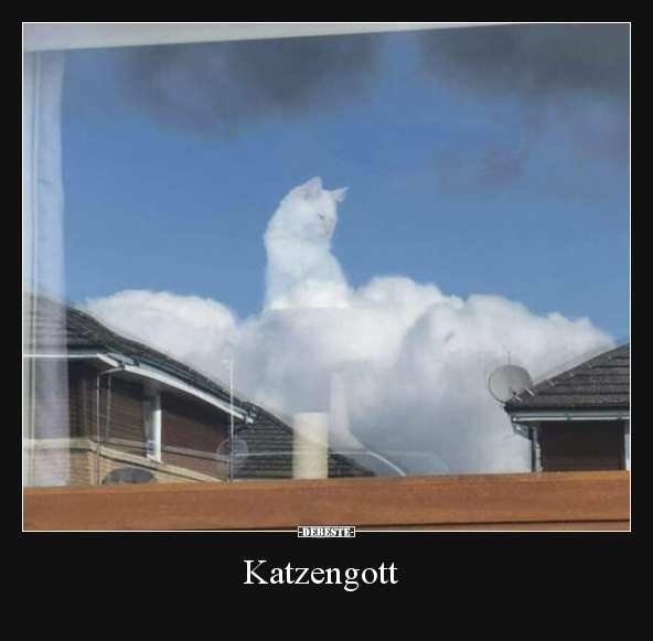 Katzengott.. - Lustige Bilder | DEBESTE.de