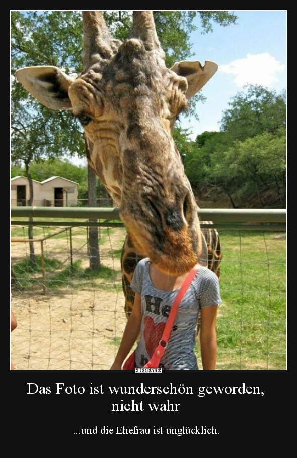 Das Foto ist wunderschön geworden, nicht wahr.. - Lustige Bilder | DEBESTE.de