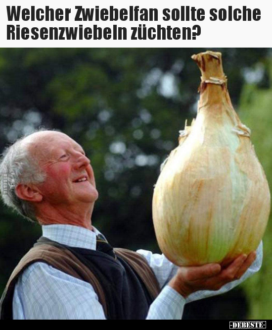 Welcher Zwiebelfan sollte solche Riesenzwiebeln.. - Lustige Bilder | DEBESTE.de