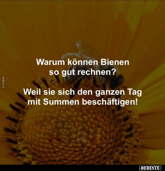 Warum können Bienen so gut rechnen?.. - Lustige Bilder | DEBESTE.de