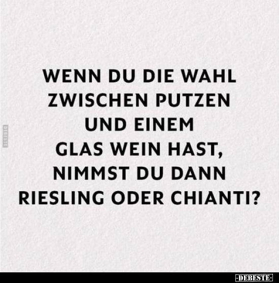 Wenn du die Wahl zwischen Putzen und einem Glas Wein hast.. - Lustige Bilder | DEBESTE.de