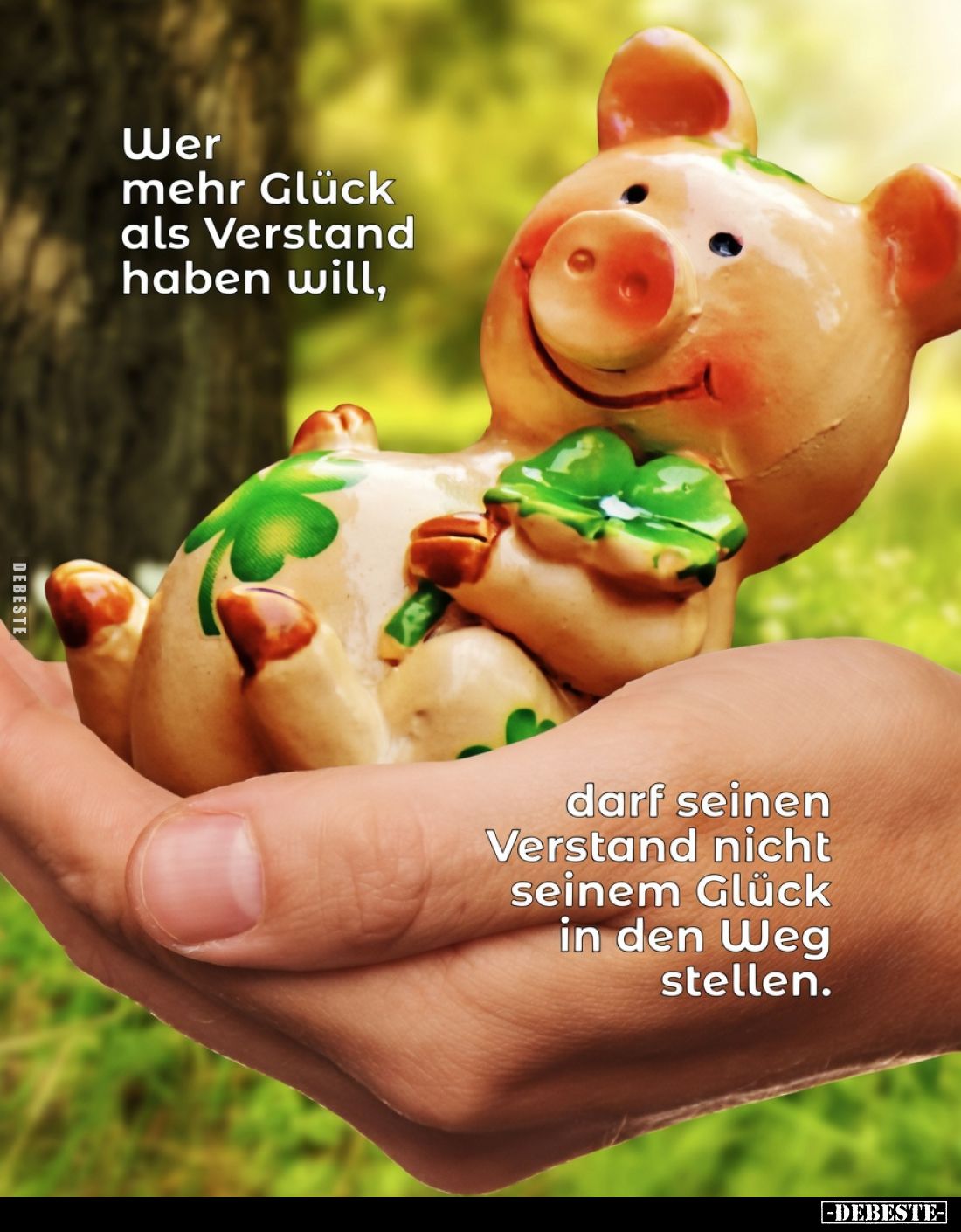 Wer mehr Glück als Verstand haben will,
darf seinen Verstand nicht seinem Glück in den Weg stellen.