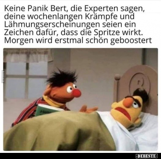 Keine Panik Bert, die Experten sagen, deine wochenlangen.. - Lustige Bilder | DEBESTE.de