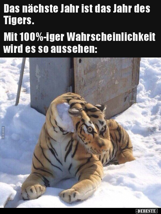 Das nächste Jahr ist das Jahr des Tigers.. - Lustige Bilder | DEBESTE.de