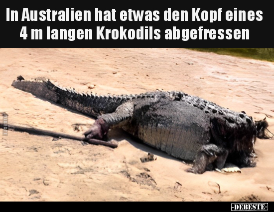 In Australien hat etwas den Kopf eines 4 m langen Krokodils.. - Lustige Bilder | DEBESTE.de