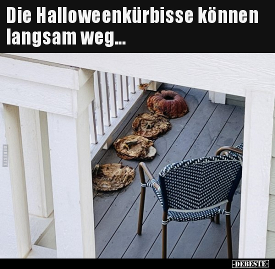 Die Halloweenkürbisse können langsam weg... - Lustige Bilder | DEBESTE.de