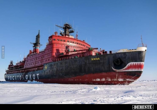  - Lustige Bilder | DEBESTE.de