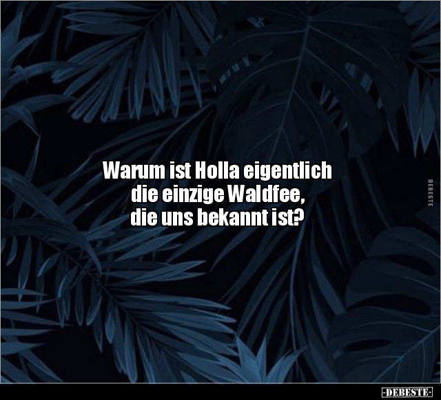 Warum ist Holla eigentlich die einzige Waldfee, die uns.. - Lustige Bilder | DEBESTE.de
