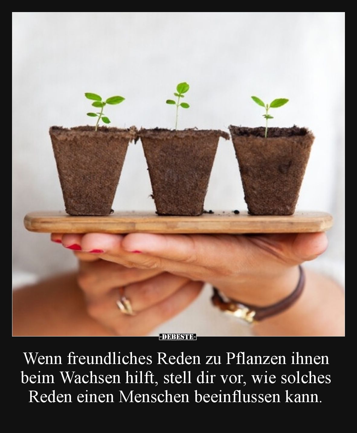 Wenn freundliches Reden zu Pflanzen ihnen beim Wachsen hilft, stell dir vor, wie solches Reden einen Menschen beeinflussen ka...