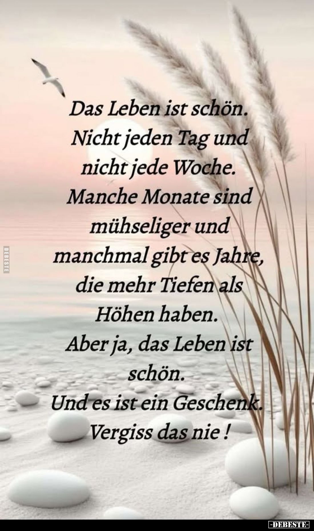Das Leben ist schön. Nicht jeden Tag und nicht jede Woche. Manche Monate sind mühseliger und manchmal gibt es Jahre, die mehr...
