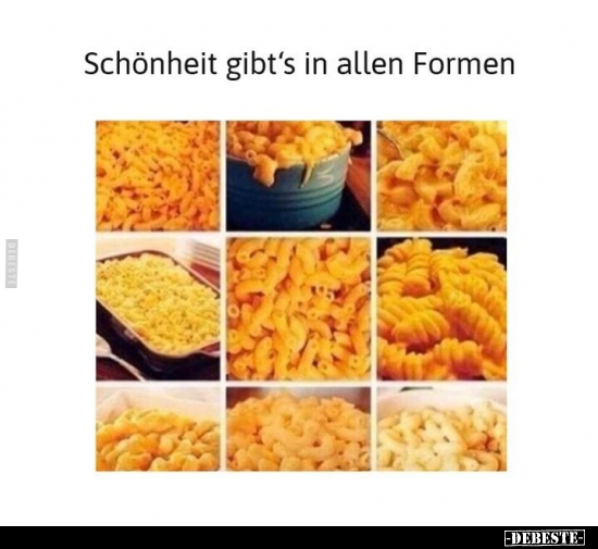 Schönheit gibt's in allen Formen
