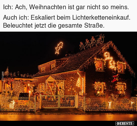 Ich: Ach, Weihnachten ist gar nicht so meins.. - Lustige Bilder | DEBESTE.de