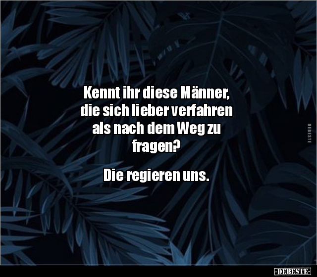 Kennt ihr diese Männer, die sich lieber verfahren als.. - Lustige Bilder | DEBESTE.de