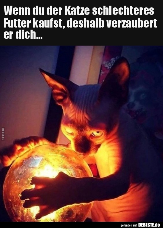 Wenn du der Katze schlechteres Futter kaufst..