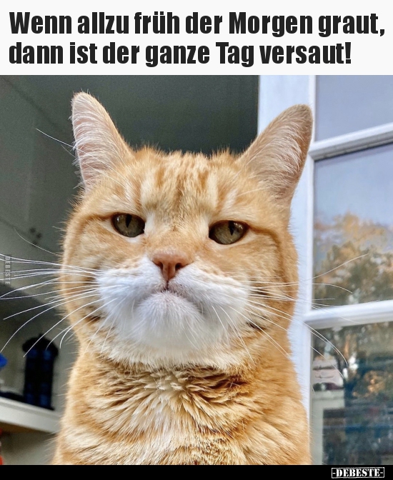 Wenn allzu früh der Morgen graut, dann ist der ganze Tag..
