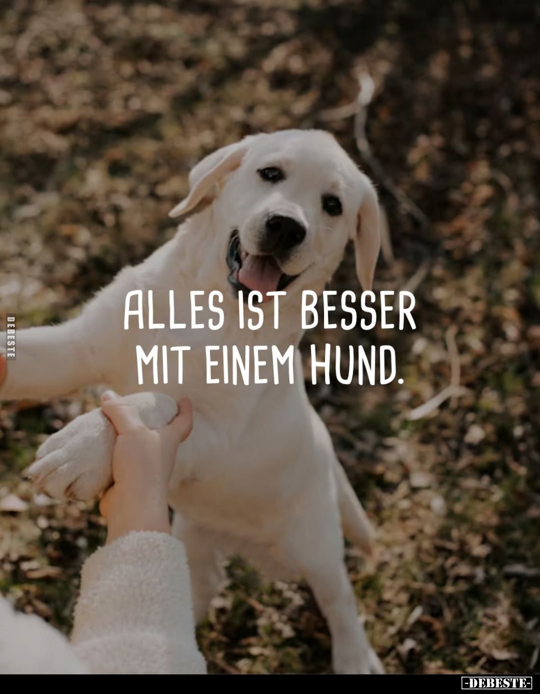 Alles ist besser mit einem Hund.