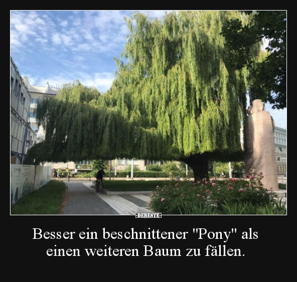 Besser ein beschnittener "Pony" als einen weiteren Baum.. - Lustige Bilder | DEBESTE.de