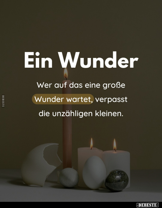 Wunder