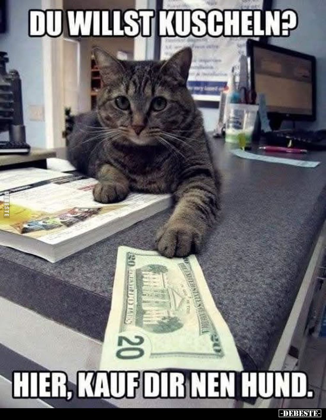 Du willst kuscheln? Hier, kauf dir nen Hund.. - Lustige Bilder | DEBESTE.de