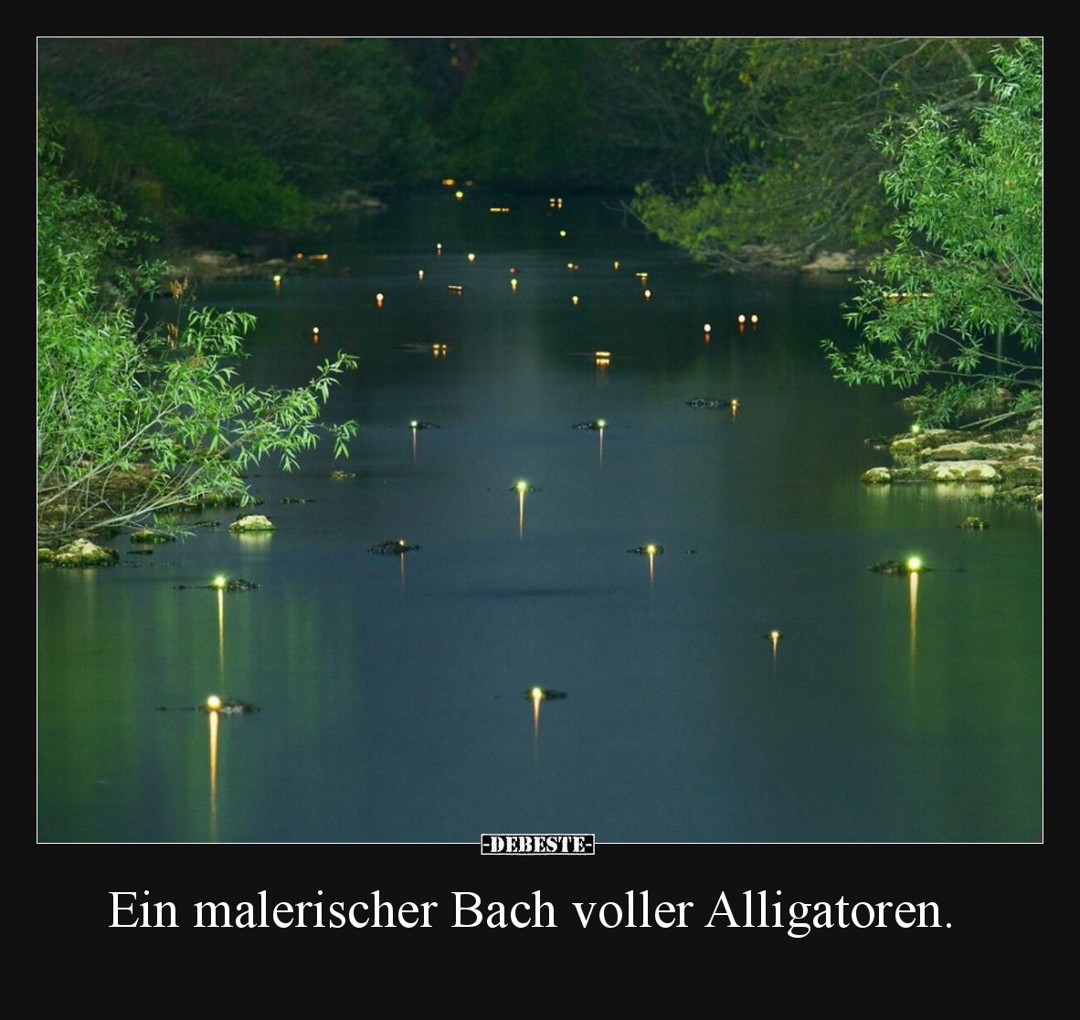 Ein malerischer Bach voller Alligatoren.